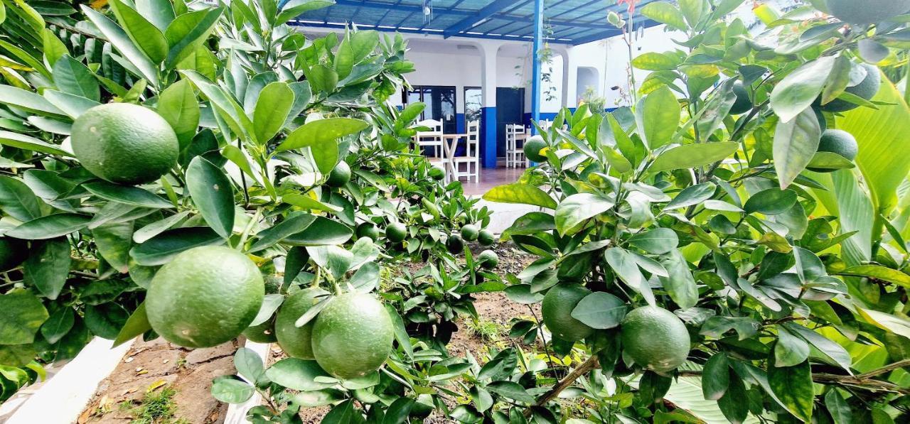 Kelly Guest House Praia Ngoại thất bức ảnh